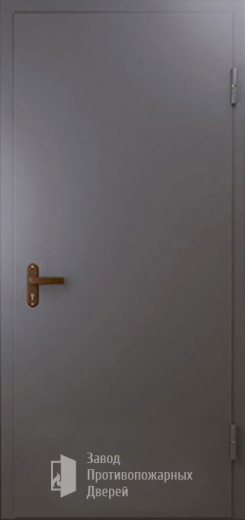 Фото двери «Техническая дверь №1 однопольная» в Коломне