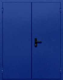 Фото двери «Двупольная глухая №33» в Коломне