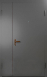 Фото двери «Техническая дверь №6 полуторная» в Коломне